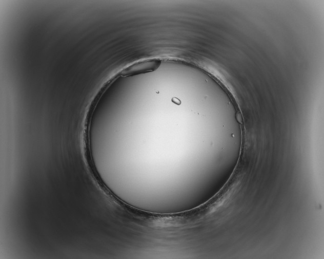 X0000088491093200705291642