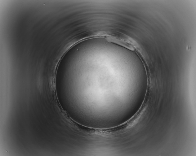 X0000088491097200705291642