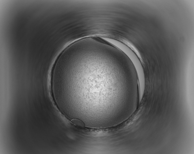 X0000088491099200705291642