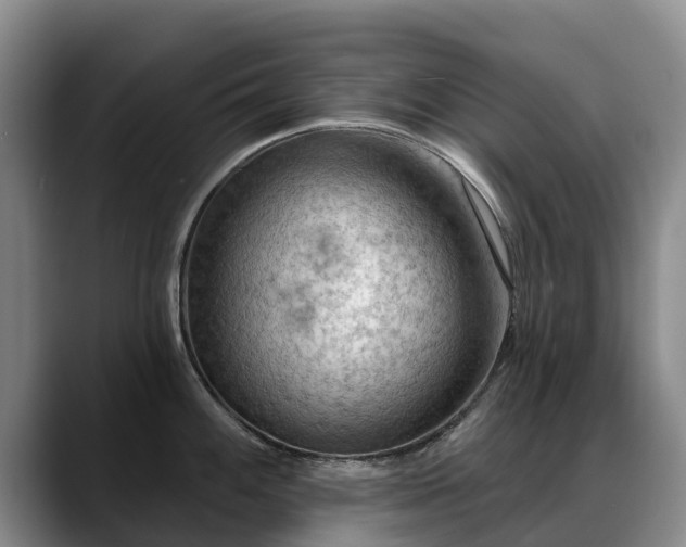 X0000088491100200705291642