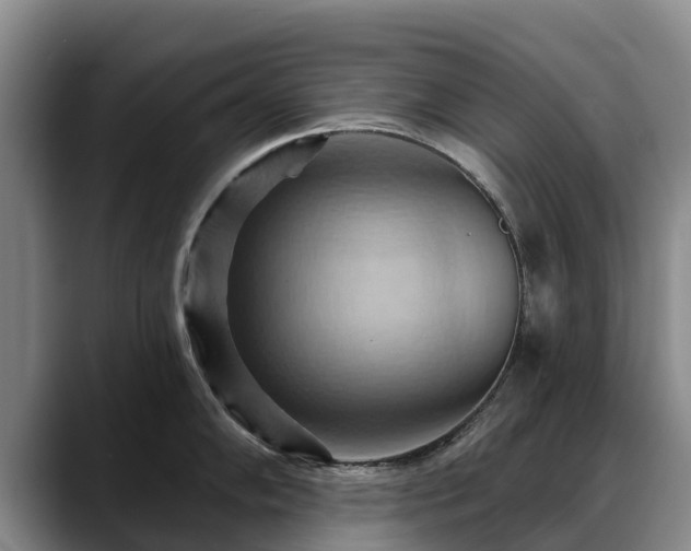 X0000088491102200705291642