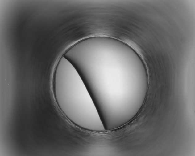 X0000088491104200705291642