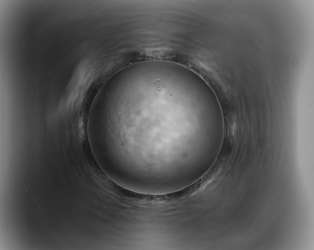 X0000088491106200705291642
