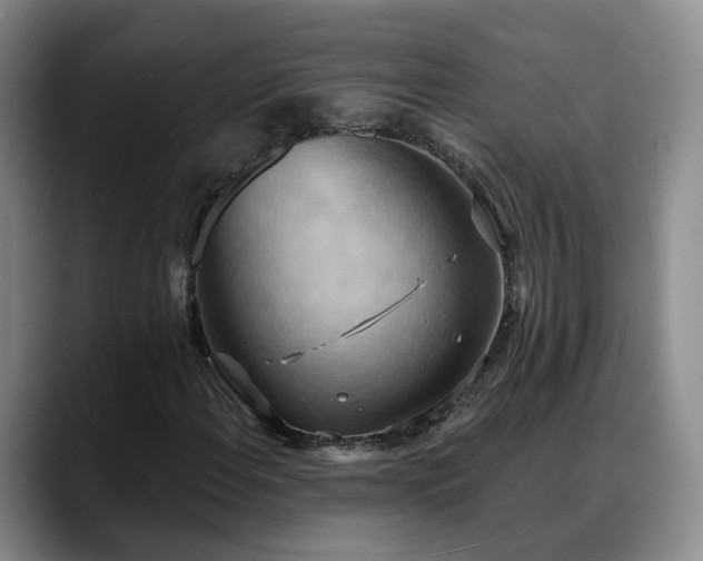 X0000088491108200705291642