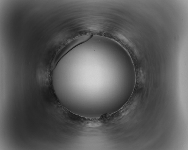 X0000088491110200705291642