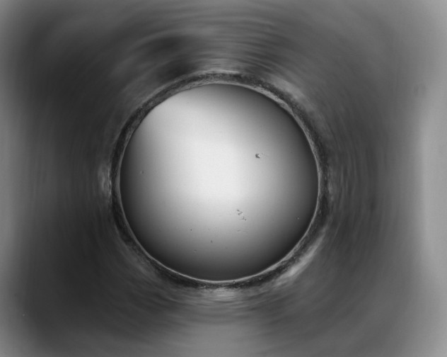 X0000088491113200705291642