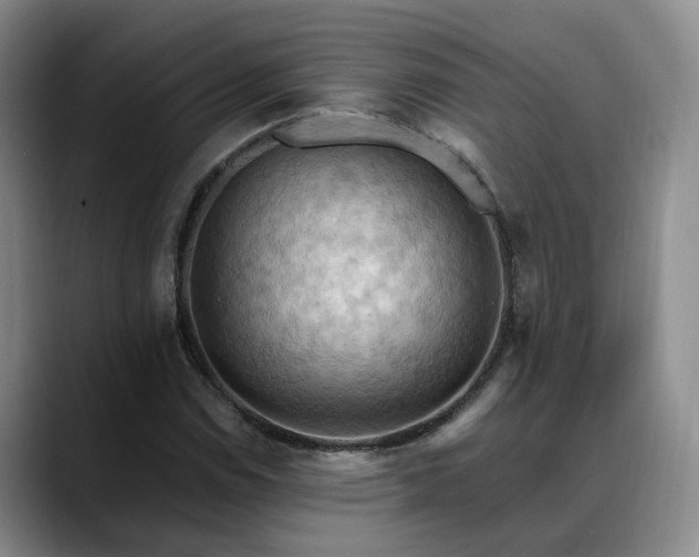 X0000088491114200705291642