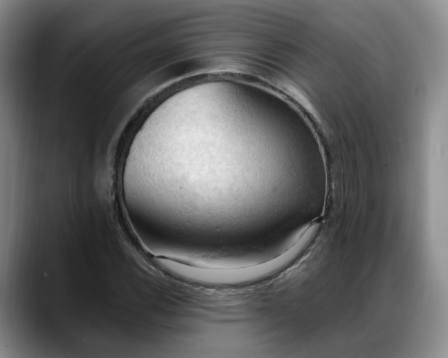 X0000088491116200705291642