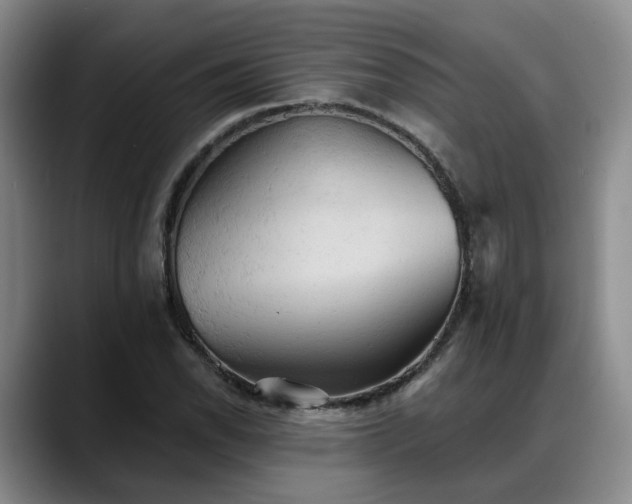 X0000088491118200705291642