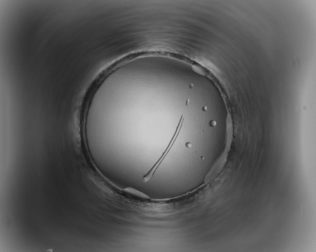 X0000088491120200705291642
