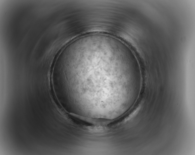 X0000088491121200705291642