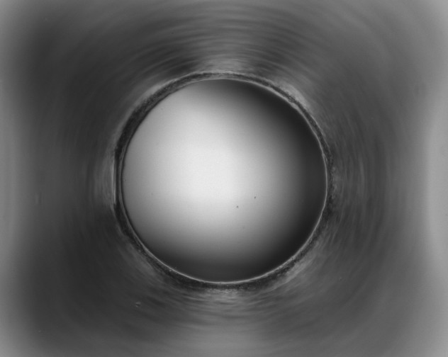 X0000088491123200705291642