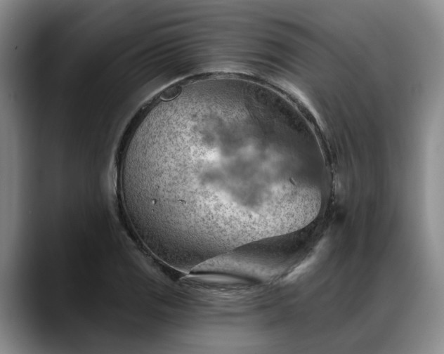 X0000088491125200705291642
