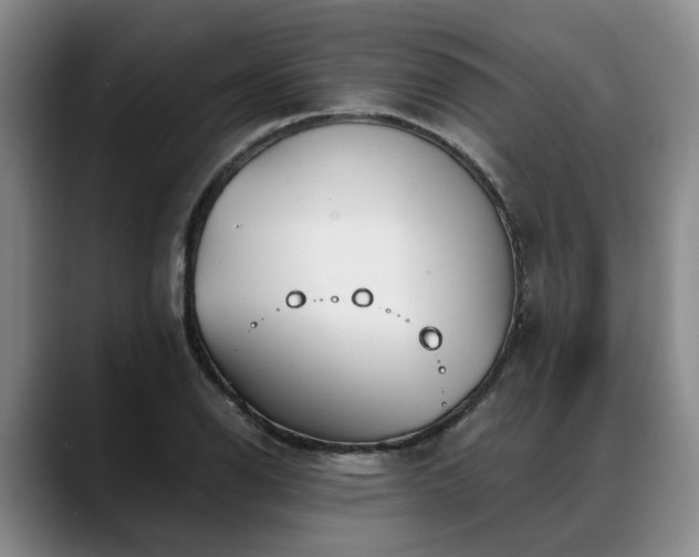 X0000088491126200705291642