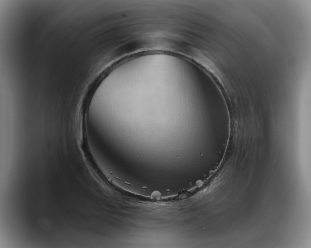 X0000088491127200705291642
