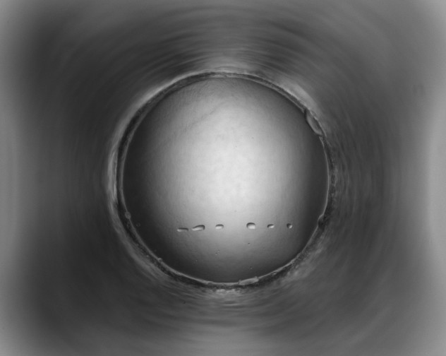 X0000088491128200705291642