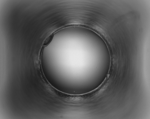 X0000088491129200705291642