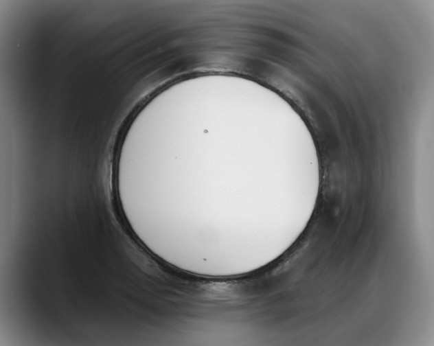 X0000088491130200705291642