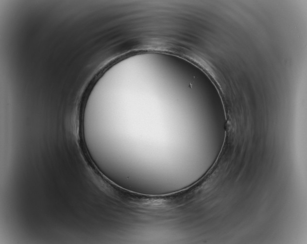 X0000088491131200705291642