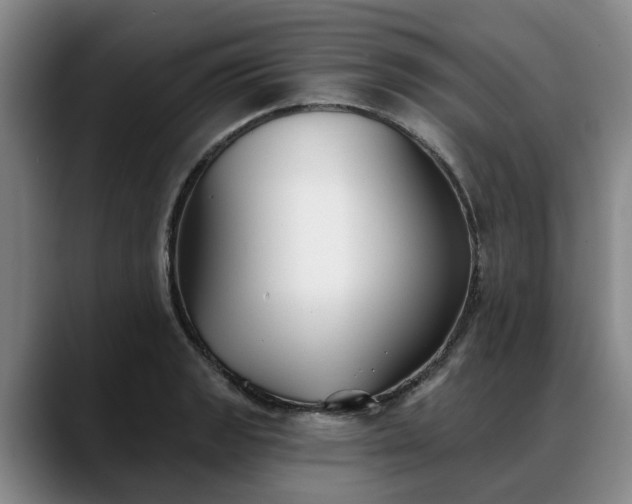 X0000088491133200705291642