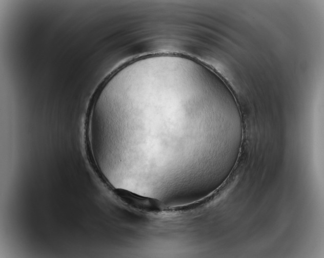 X0000088491134200705291642