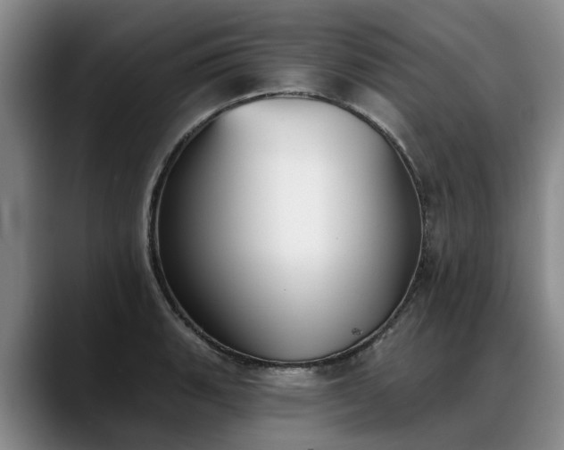 X0000088491135200705291642