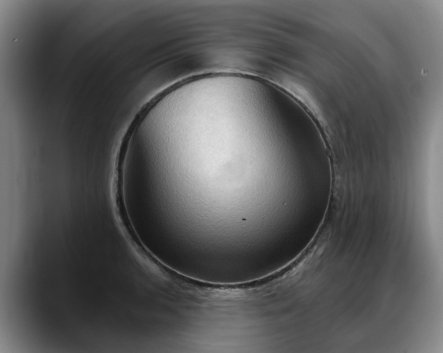 X0000088491136200705291642