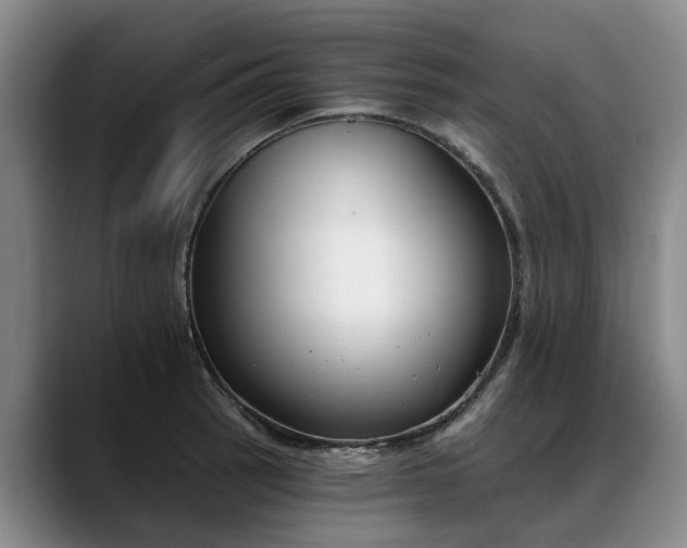 X0000088491137200705291642