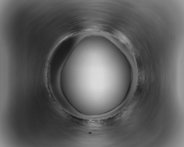 X0000088491138200705291642