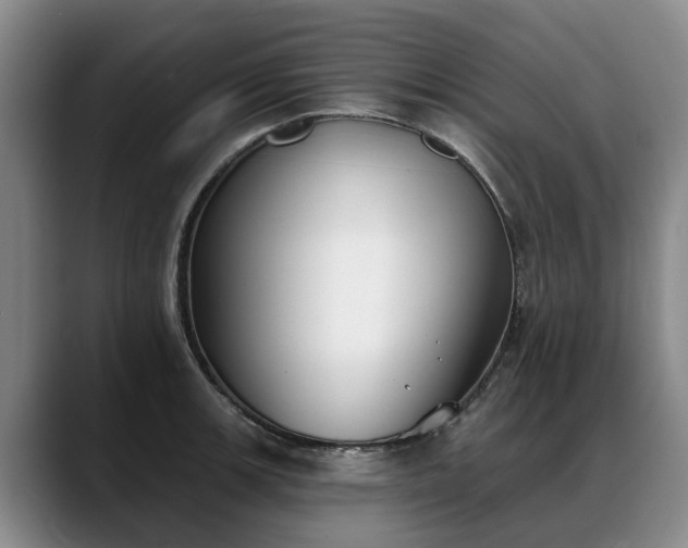 X0000088491139200705291642