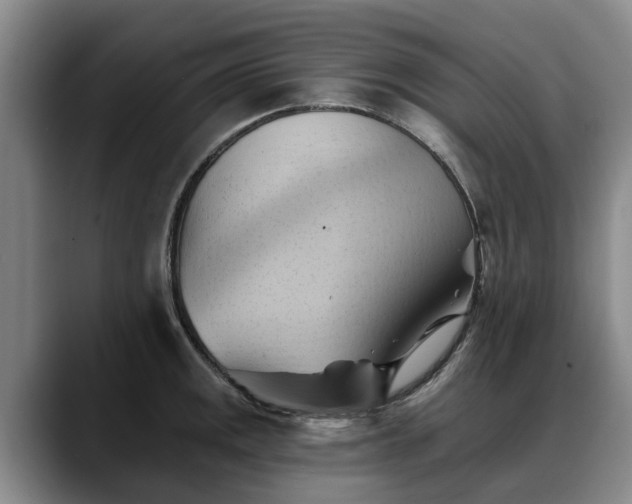 X0000088491141200705291642