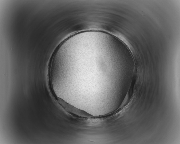 X0000088491142200705291642