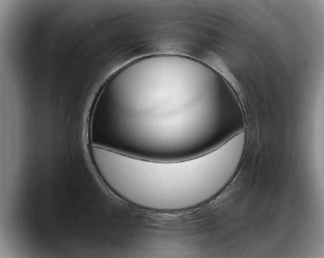 X0000088491144200705291642