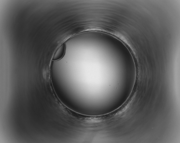 X0000088491145200705291642