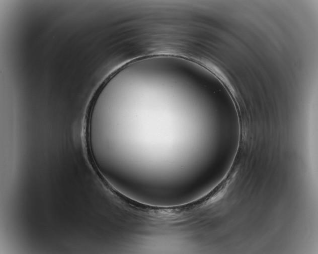 X0000088491149200705291642