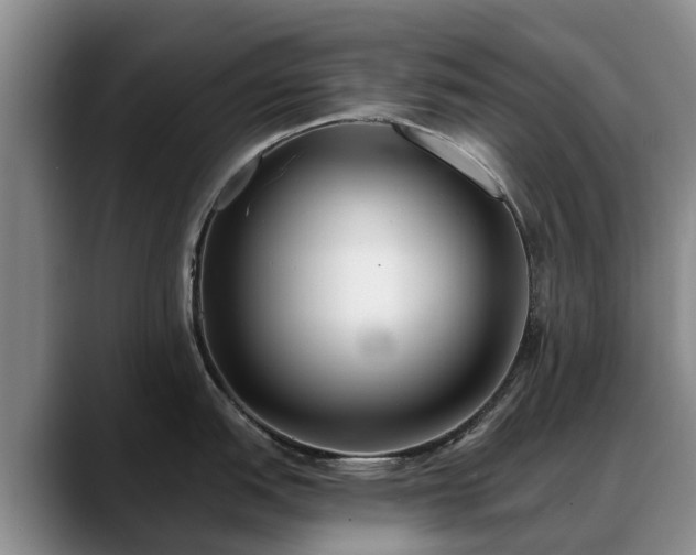 X0000088491151200705291642