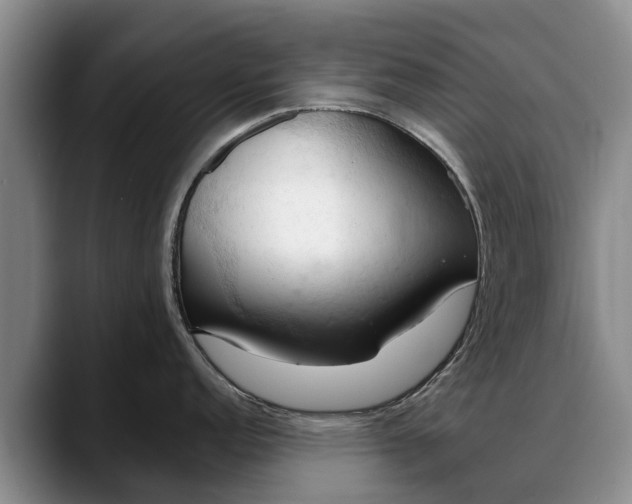 X0000088491152200705291642