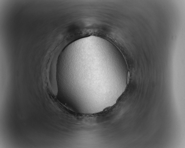 X0000088491153200705291642
