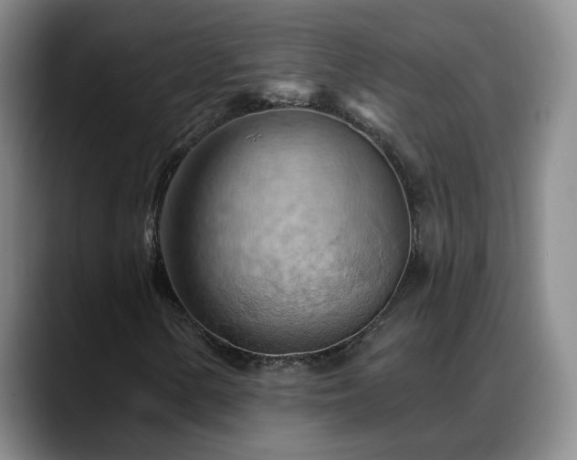 X0000088491154200705291642