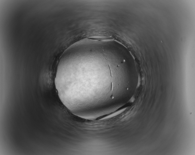 X0000088491156200705291642