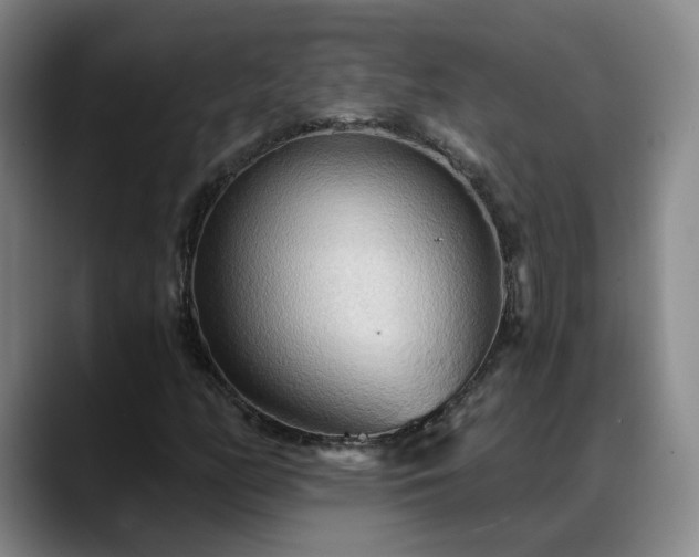 X0000088491158200705291642