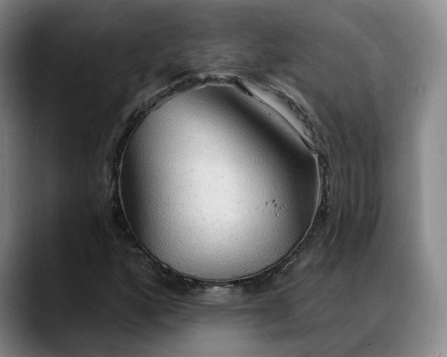 X0000088491160200705291642