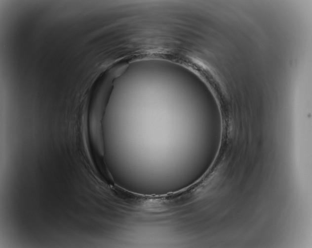 X0000088491161200705291642