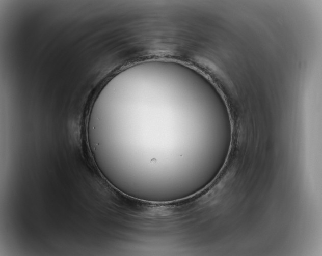 X0000088491162200705291642