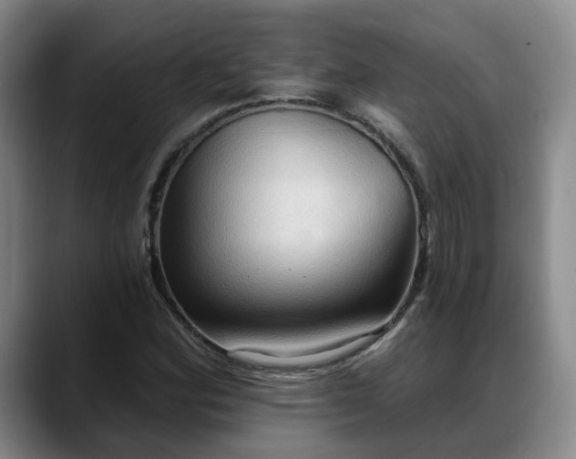 X0000088491164200705291642