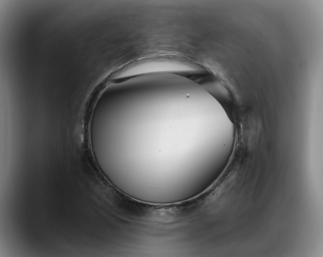 X0000088491165200705291642