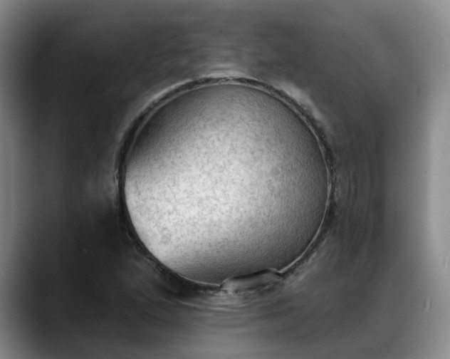 X0000088491167200705291641