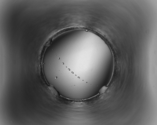 X0000088491168200705291641