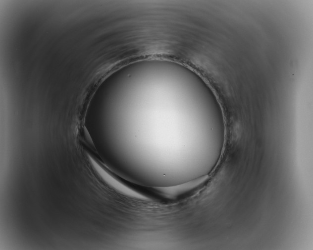 X0000088491169200705291641