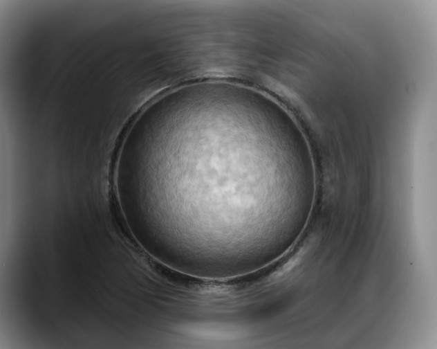 X0000088491170200705291641